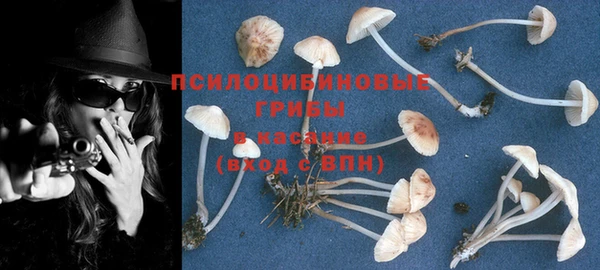 твердый Лиски