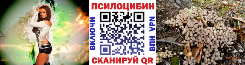 Псилоцибиновые грибы мицелий ОМГ ОМГ онион Назрань